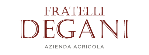 DEGANI-AMARONE DELLA VALPOLICELLA DOCG-(Caisse de 6)